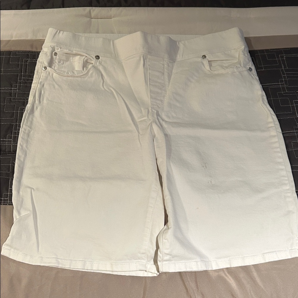 Gloria Vanderbilt ( Avery) Women’s Shorts. Good condition